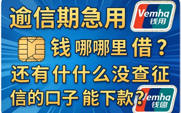 信用卡逾期急用钱哪里借？还有什么没查征信的口子能下款？