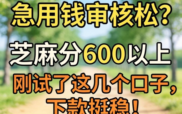 周末急用钱审核松？芝麻分600以上刚试了这几个口子，下款挺稳！