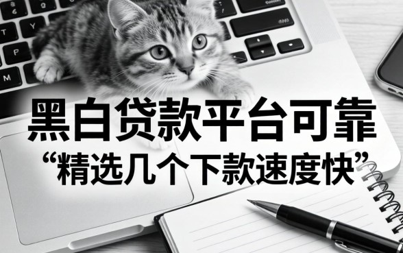 哪些无视黑白贷款快的平台可靠？精选几个下款速度快的