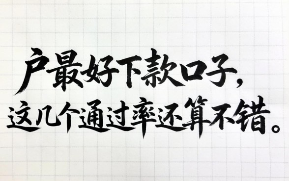 纯白户最好下款的口子，这几个通过率还算不错