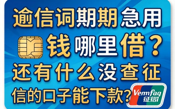 信用卡逾期急用钱哪里借？还有什么没查征信的口子能下款？