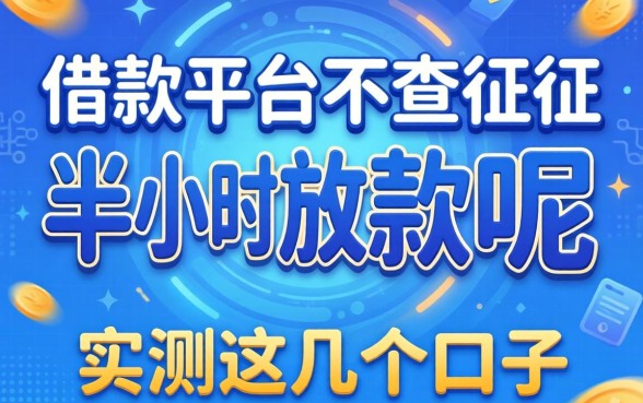 哪个借款平台不查征信半小时放款的呢？实测这几个口子