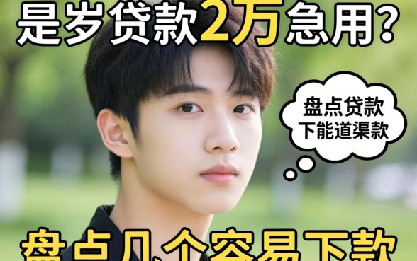 19岁贷款2万急用?盘点几个容易下款的渠道