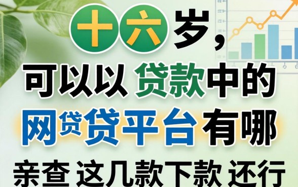 六十岁可以贷款的网贷平台有哪些？亲测这几款下款还行