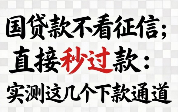 哪里贷款不看征信,直接秒过2026款：实测这几个下款通道