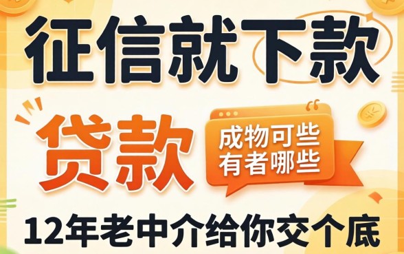 不看征信就下款的贷款有哪些？12年老中介给你交个底