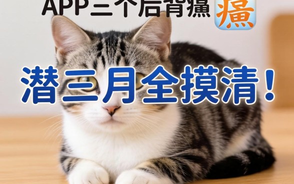 借贷类app背后的猫腻，我潜伏三个月全摸清了