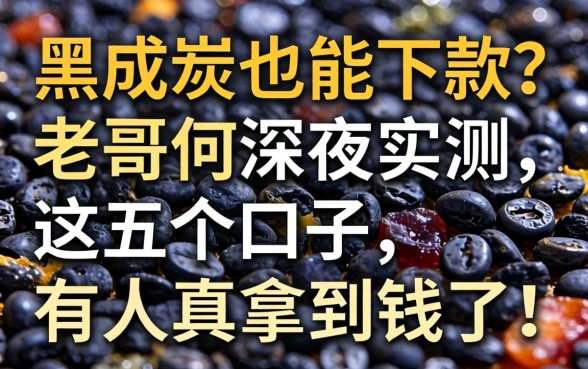 征信黑成炭也能下款？老哥们深夜实测这五个口子，有人真拿到钱了！