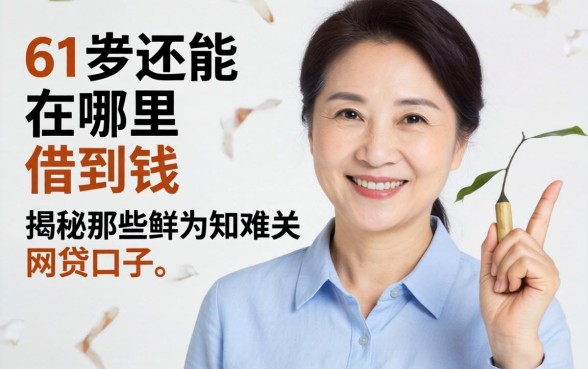 51岁还能在哪里借到钱?揭秘那些鲜为人知的网贷口子,助你度过资金难关