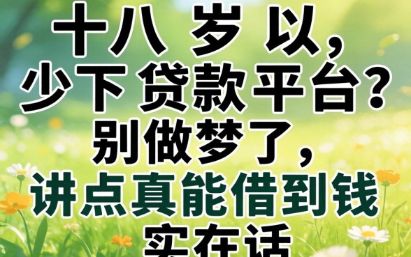 十八岁以下贷款平台?别做梦了,讲点真能借到钱的实在话
