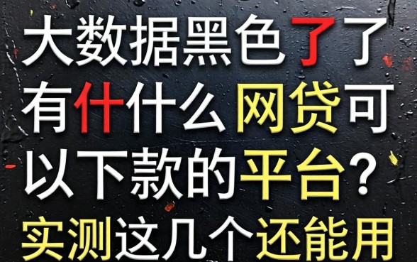 大数据黑了有什么网贷可以下款的平台？实测这几个还能用