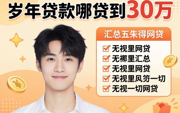 20岁贷款哪里可以贷到30万，汇总五个无视一切的网贷