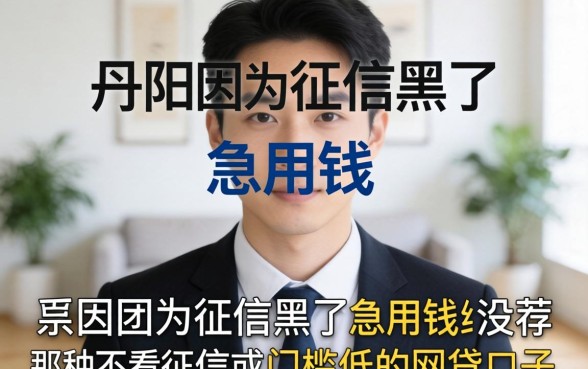 【求助】人在丹阳因为征信黑了急用钱,有没有那种不看征信或者门槛低的网贷口子推荐?