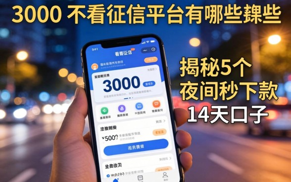 借3000不看征信的平台有哪些软件,揭秘5个夜间秒下款的14天口子