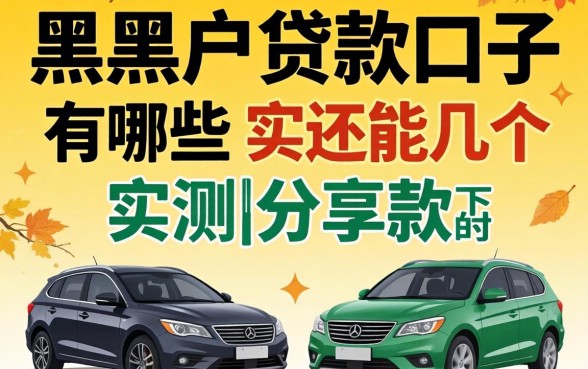 2026双黑户贷款口子有哪些？实测分享几个还能下款的渠道