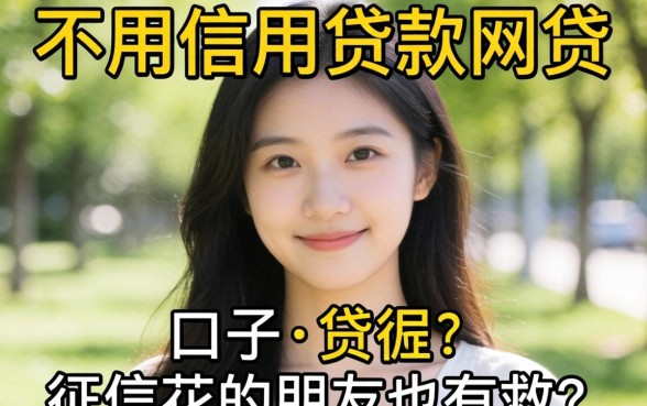 分享几个不用信用贷款网贷的口子,征信花的朋友也有救了