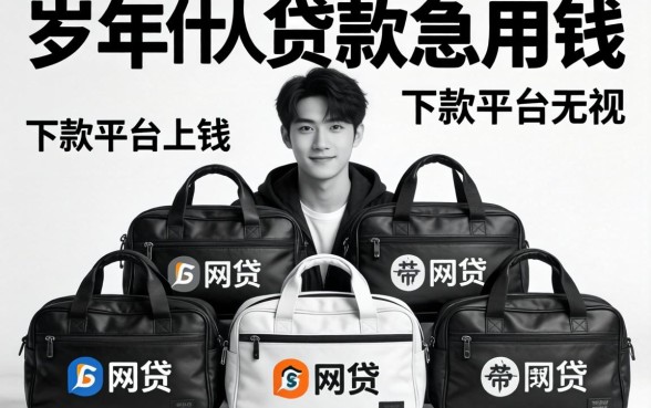 20岁个人贷款急用钱,规整5个包下款平台无视黑白的网贷