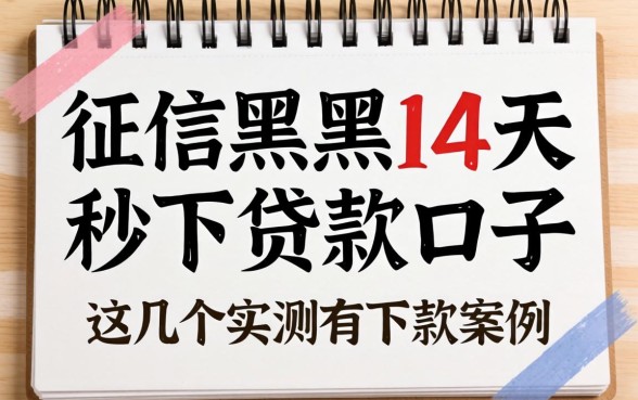 无视征信黑户14天秒下贷款口子，这几个实测有下款案例