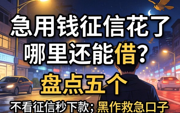 半夜急用钱征信花了哪里还能借?盘点五个不看征信秒下款的黑户救急口子