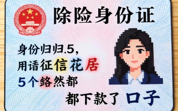 保险用身份证，归纳五个征信花居然都下款了的口子