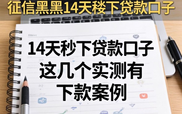 无视征信黑户14天秒下贷款口子，这几个实测有下款案例