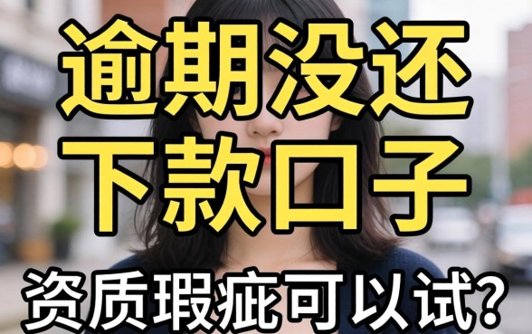 分享几个逾期没还下款口子，有资质瑕疵的可以试一试