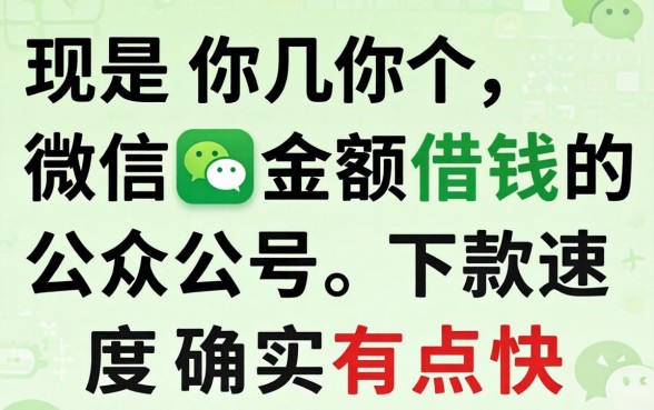 发现几个微信小额借钱的公众号，下款速度确实有点快