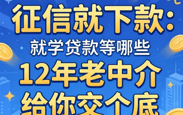 不看征信就下款的贷款有哪些？12年老中介给你交个底