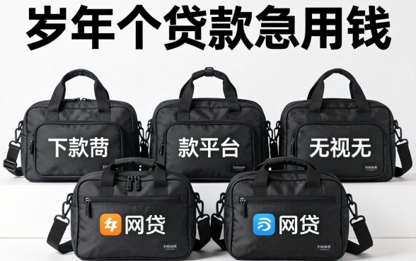 20岁个人贷款急用钱,规整5个包下款平台无视黑白的网贷