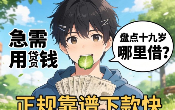 十九岁急需用钱哪里借？盘点十九岁可以贷款的平台，正规靠谱下款快