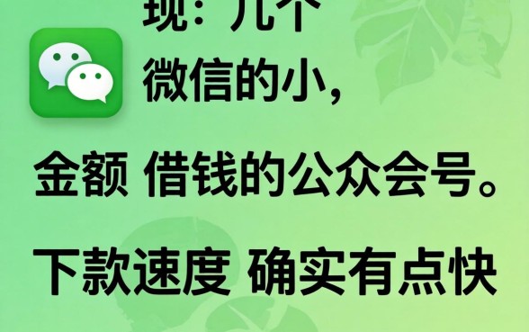 发现几个微信小额借钱的公众号，下款速度确实有点快