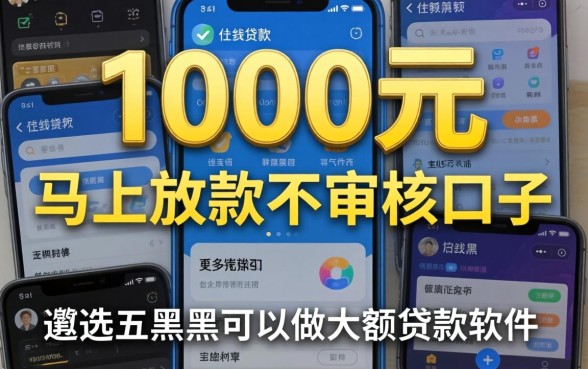 借款1000元马上放款不审核的口子，遴选五个黑户可以做大额贷款软件