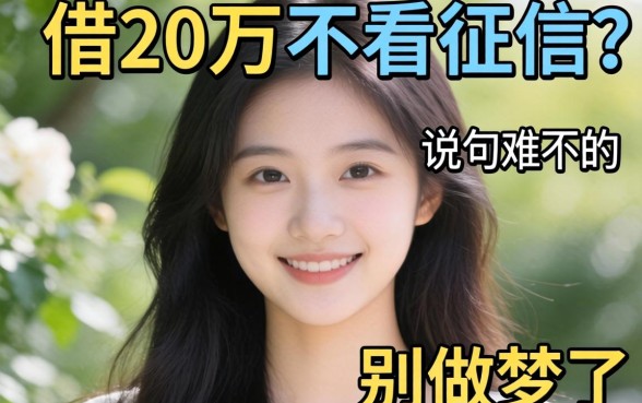 什么软件可以借20万不看征信？说句难听的，别做梦了