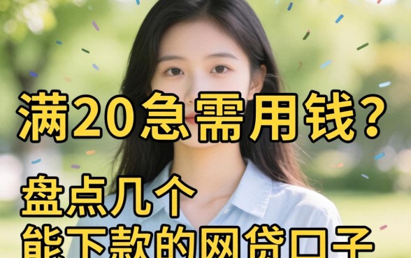 刚满20岁急需用钱？盘点几个能下款的网贷口子