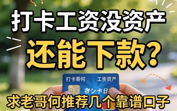 只有打卡工资没资产,还能下款吗?求老哥们推荐几个靠谱口子!