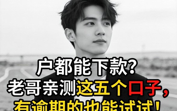 2026年黑白户都能下款？老哥亲测这五个口子，有逾期的也能试试！