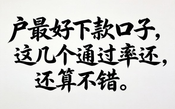 纯白户最好下款的口子，这几个通过率还算不错