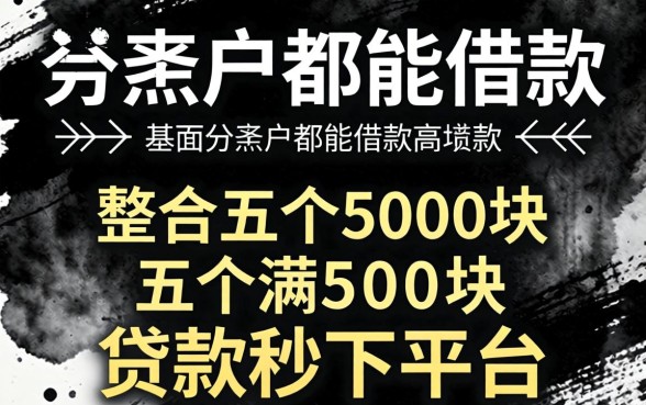 不分黑白户都能借款的,整合五个5000块贷款秒下平台