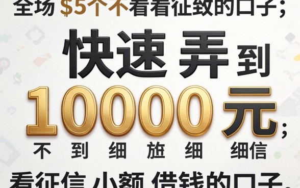 哪里可以快速弄到1000元，细致阐述5个不看征信小额借钱的口子