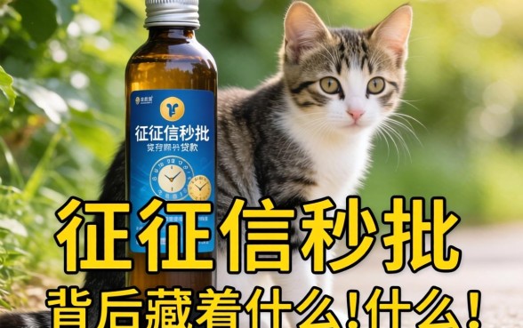 不查征信秒批时间长的贷款，背后藏着什么猫腻？