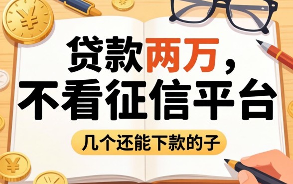 哪里可以贷款两万不看征信的平台？整理了几个还能下款的口子
