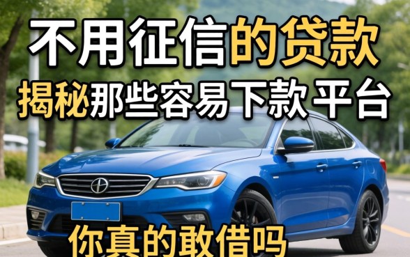 哪里有不用征信的贷款？揭秘那些容易下款的平台，你真的敢借吗？