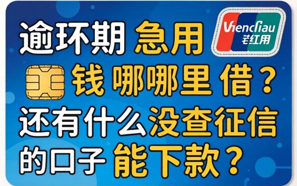 信用卡逾期急用钱哪里借？还有什么没查征信的口子能下款？