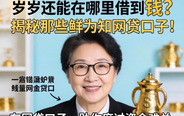51岁还能在哪里借到钱?揭秘那些鲜为人知的网贷口子,助你度过资金难关
