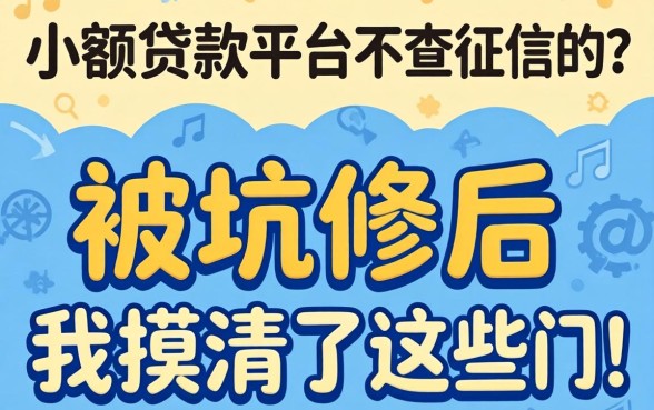 什么小额贷款平台不查征信的？被坑惨后我摸清了这些门道
