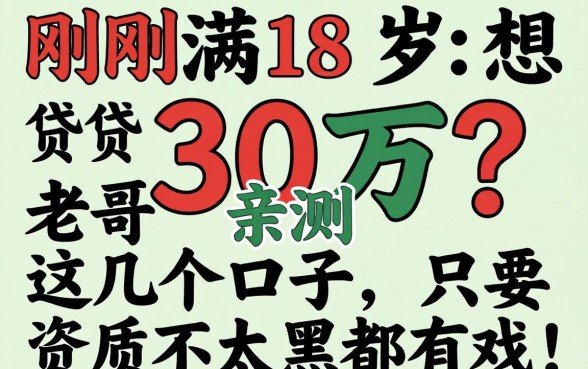 刚满18岁想贷30万？老哥亲测这几个口子，只要资质不太黑都有戏！