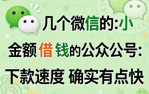 发现几个微信小额借钱的公众号，下款速度确实有点快