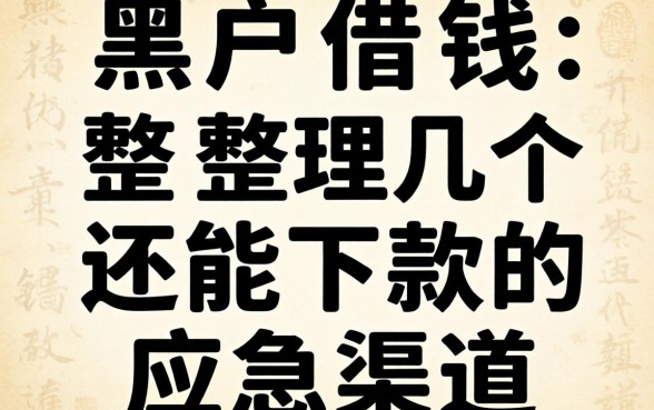 双黑户借钱2026：整理几个还能下款的应急渠道