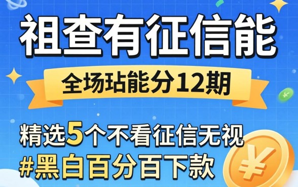 不查征信能分12期,精选5个不看征信无视黑白百分百下款