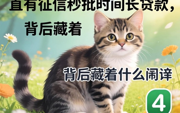 不查征信秒批时间长的贷款，背后藏着什么猫腻？